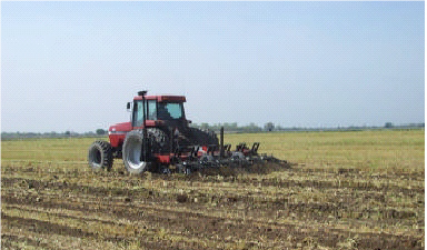 Sorghum Sudan grass with VolcaMin Zeolite